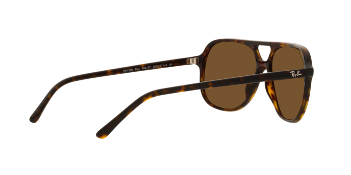 Ray-Ban BILL RB2198 902/57