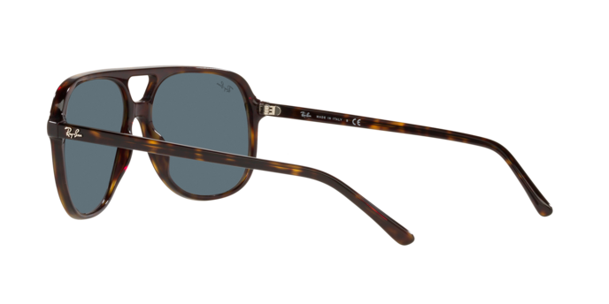 Ray-Ban BILL RB2198 902/R5