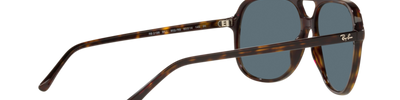 Ray-Ban BILL RB2198 902/R5
