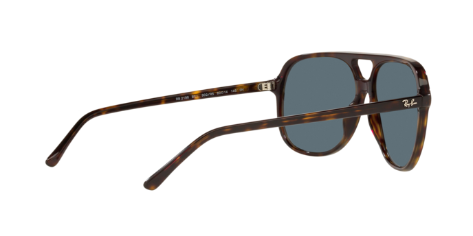 Ray-Ban BILL RB2198 902/R5
