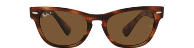 RAY-BAN LARAMIE RB2201 95457 - View 5