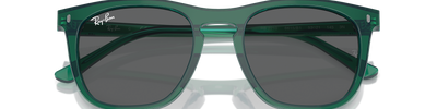 Ray-Ban RB2210 6615B1
