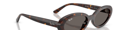 Ray-Ban RB2223 902/B1