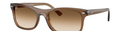 Ray-Ban RB2226 664051