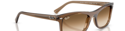 Ray-Ban RB2226 664051