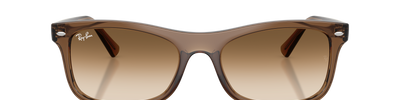 Ray-Ban RB2226 664051