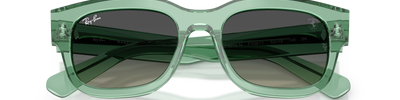 Ray-Ban RB2228M F70911