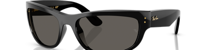 Ray-Ban MEGA BALORAMA RB2289 6826J5