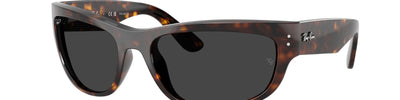 Ray-Ban MEGA BALORAMA RB2289 902/48