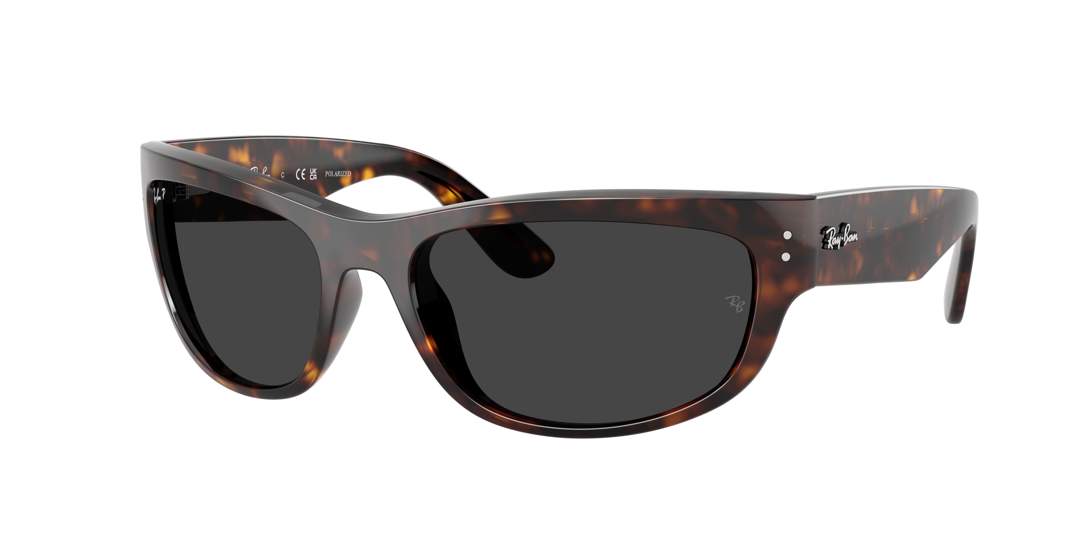 Ray-Ban MEGA BALORAMA RB2289 902/48