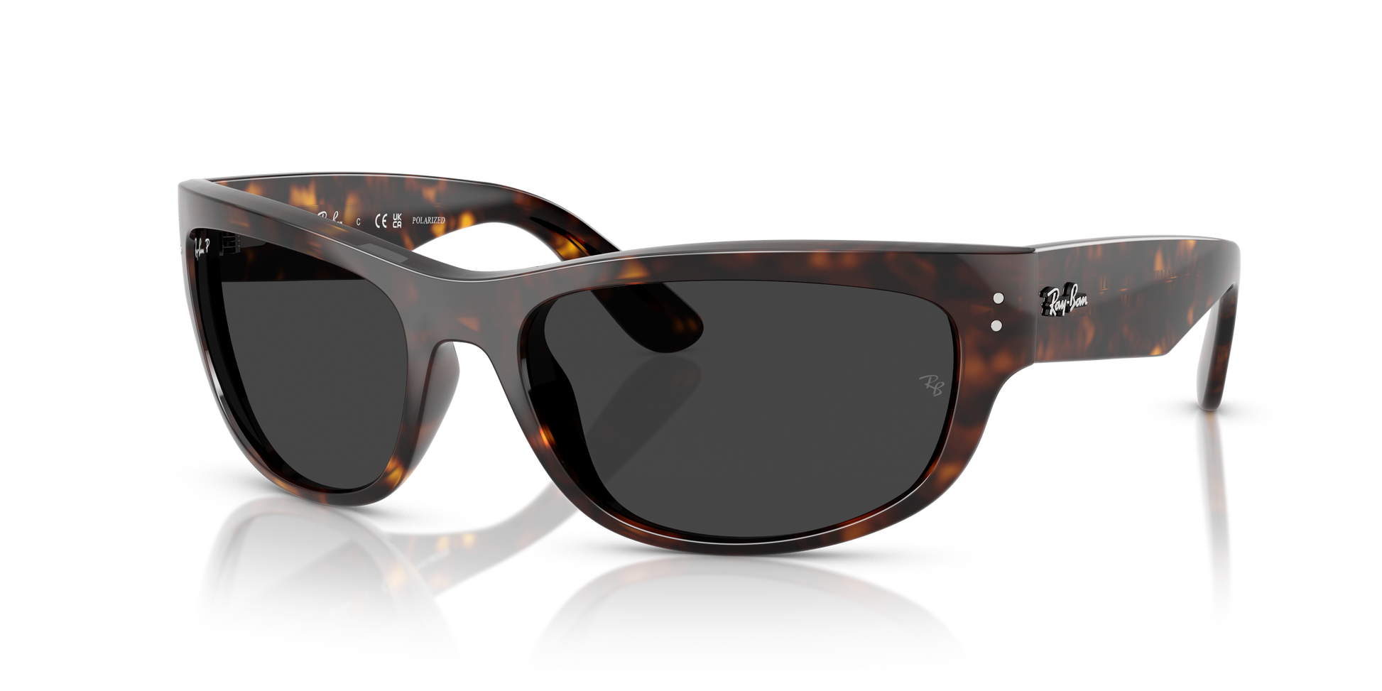 Ray-Ban MEGA BALORAMA RB2289 902/48
