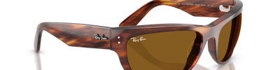 Ray-Ban MEGA BALORAMA RB2289 954/33