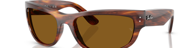 Ray-Ban MEGA BALORAMA RB2289 954/33