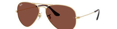 Ray-Ban AVIATOR RB3025 001/C5