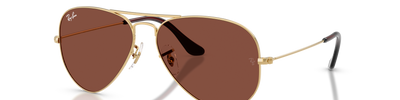 Ray-Ban AVIATOR RB3025 001/C5