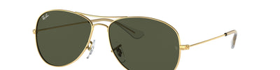Ray-Ban COCKPIT RB3362 001