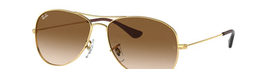 Ray-Ban COCKPIT RB3362 001/51