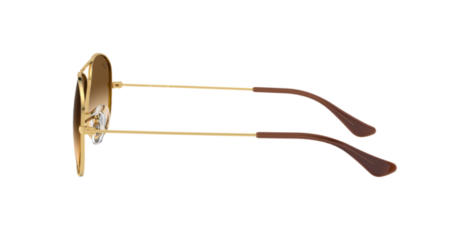 Ray-Ban COCKPIT RB3362 001/51