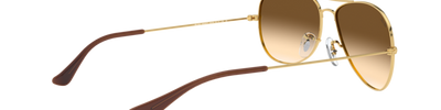 Ray-Ban COCKPIT RB3362 001/51
