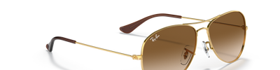 Ray-Ban COCKPIT RB3362 001/51