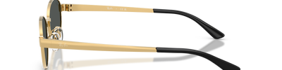 Ray-Ban RB3774D 001/87
