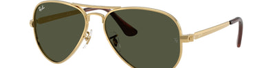 Ray-Ban AVIATOR MAX RB3925 001/31