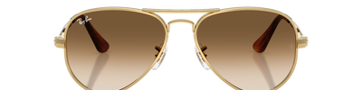 Ray-Ban AVIATOR MAX RB3925 001/51