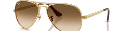 Ray-Ban AVIATOR MAX RB3925 001/51