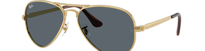 Ray-Ban AVIATOR MAX RB3925 001/R5