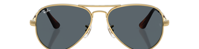 Ray-Ban AVIATOR MAX RB3925 001/R5