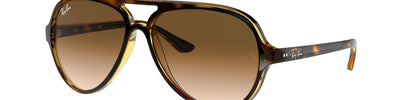 Ray-Ban CATS 5000 RB4125 710/51