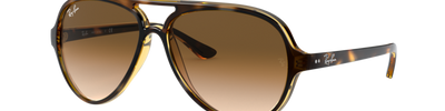 Ray-Ban CATS 5000 RB4125 710/51