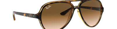 Ray-Ban CATS 5000 RB4125 710/51