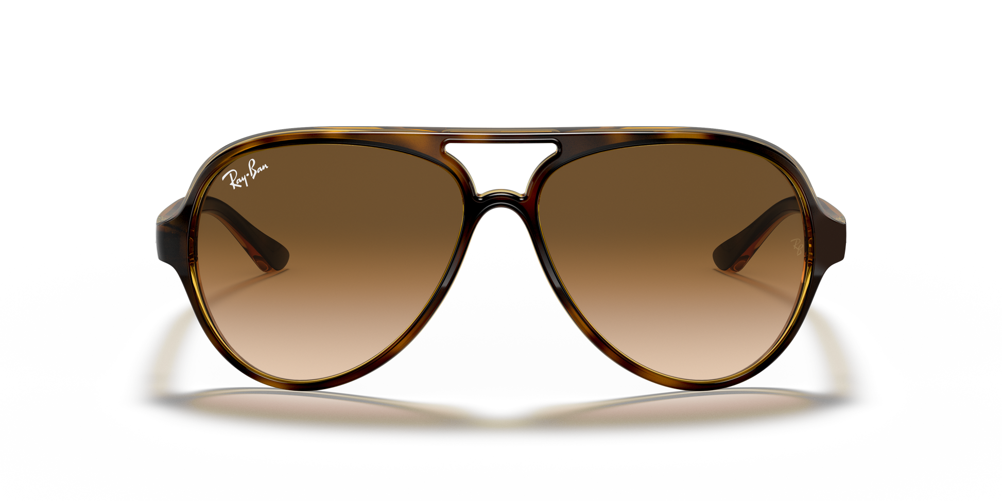 Ray-Ban CATS 5000 RB4125 710/51