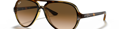 Ray-Ban CATS 5000 RB4125 710/51