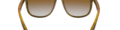 Ray-Ban BOYFRIEND RB4147 710/51