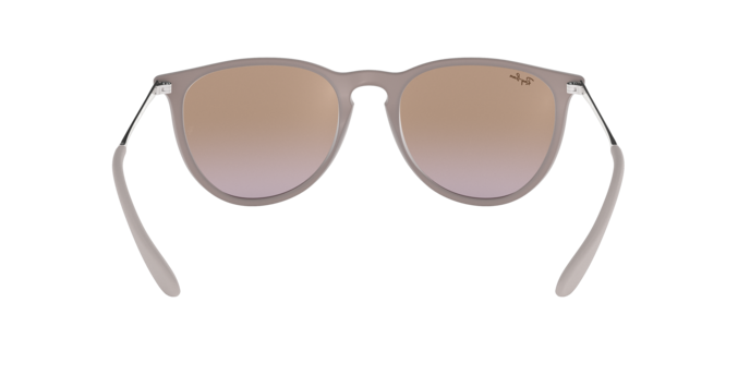 Ray-Ban ERIKA RB4171 600068