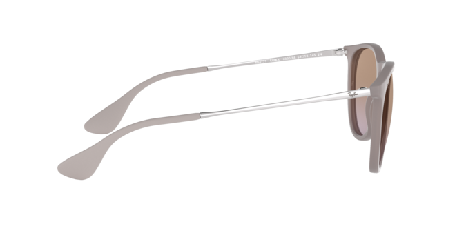 Ray-Ban ERIKA RB4171 600068