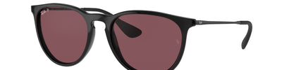 Ray-Ban ERIKA RB4171 601/5Q
