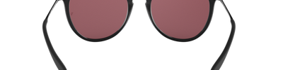 Ray-Ban ERIKA RB4171 601/5Q