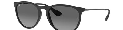 Ray-Ban ERIKA RB4171 622/T3