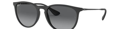 Ray-Ban ERIKA RB4171 622/T3