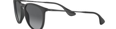Ray-Ban ERIKA RB4171 622/T3