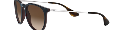 Ray-Ban ERIKA RB4171 631513
