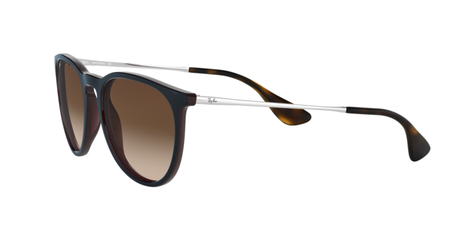 Ray-Ban ERIKA RB4171 631513