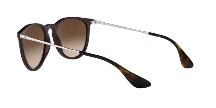 Ray-Ban ERIKA RB4171 631513
