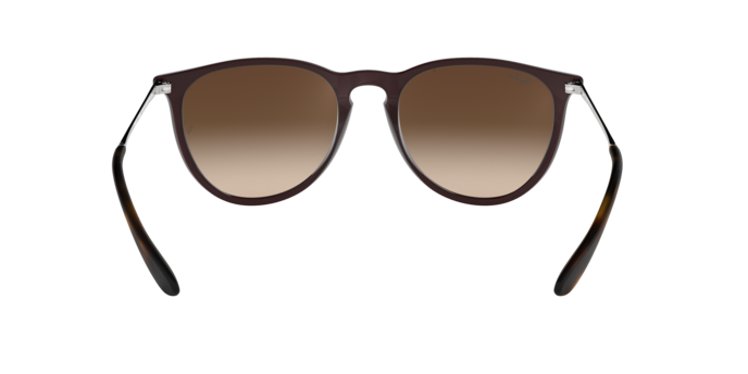 Ray-Ban ERIKA RB4171 631513