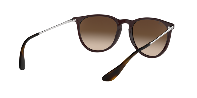 Ray-Ban ERIKA RB4171 631513
