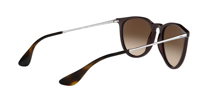 Ray-Ban ERIKA RB4171 631513