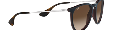 Ray-Ban ERIKA RB4171 631513